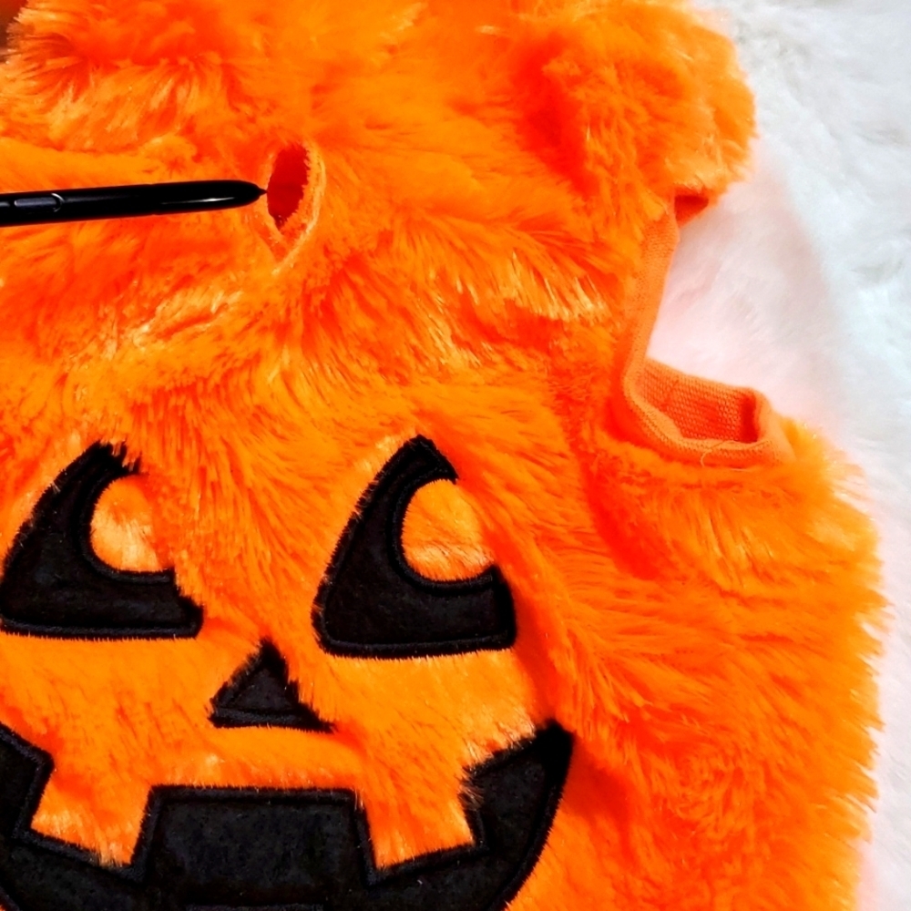 DOG HALLOWEEN PUMPKIN 🎃 COSTUME BY WAGBY - Picture 5 of 11